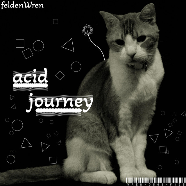 Acid Journey
