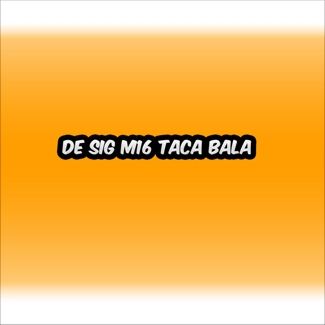 De Sig M16 taca bala