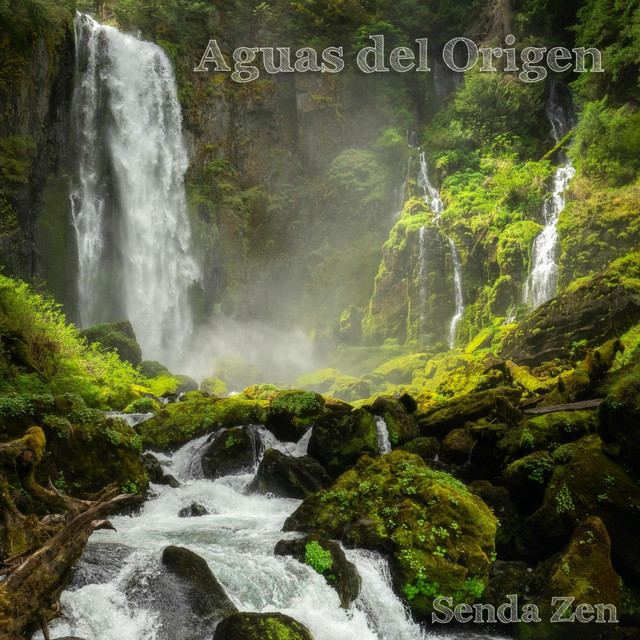 Aguas del Origen cover art