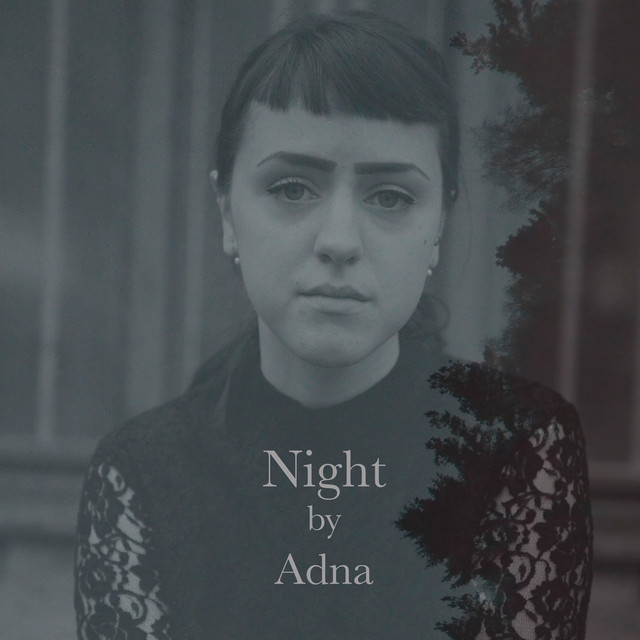 Night cover art