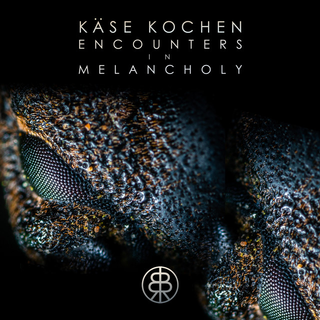 Encounters In Melancholy cover art