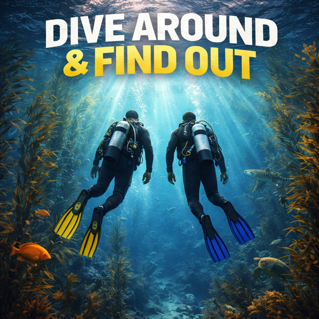 Dive Around Find Out cover art
