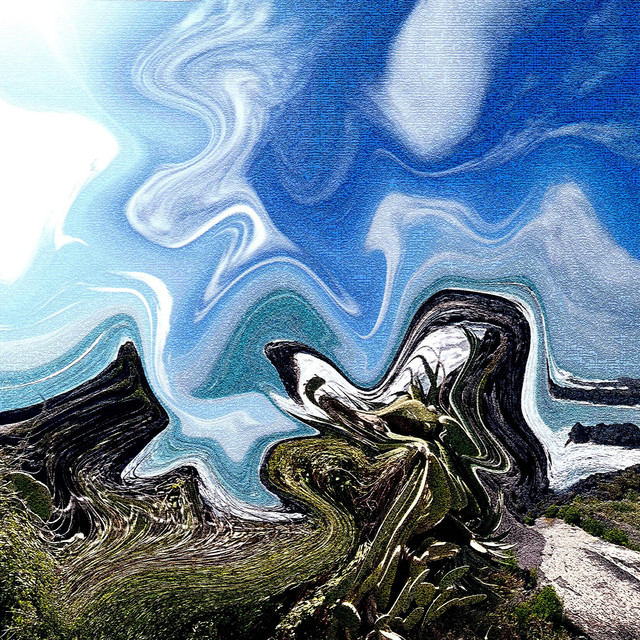 PLAYA cover art