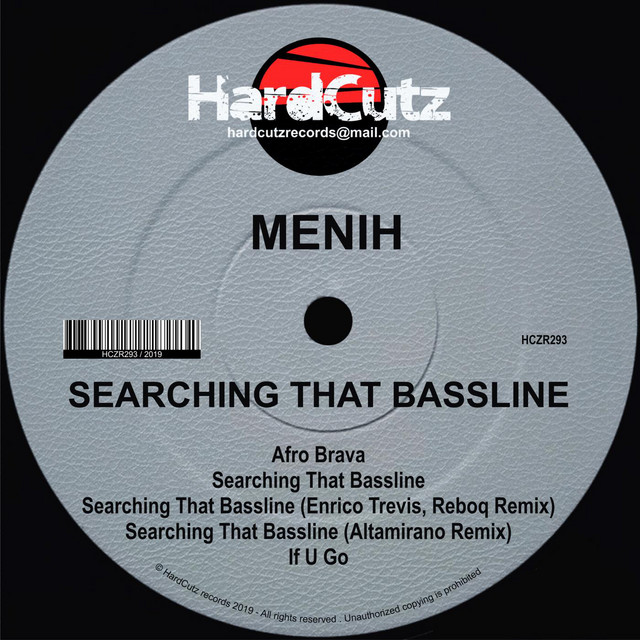 Searching That Bassline! cover art