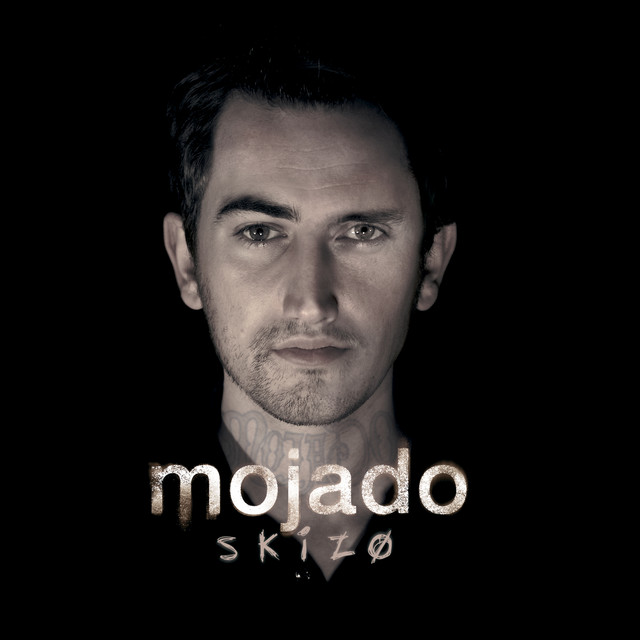 Skizo cover art