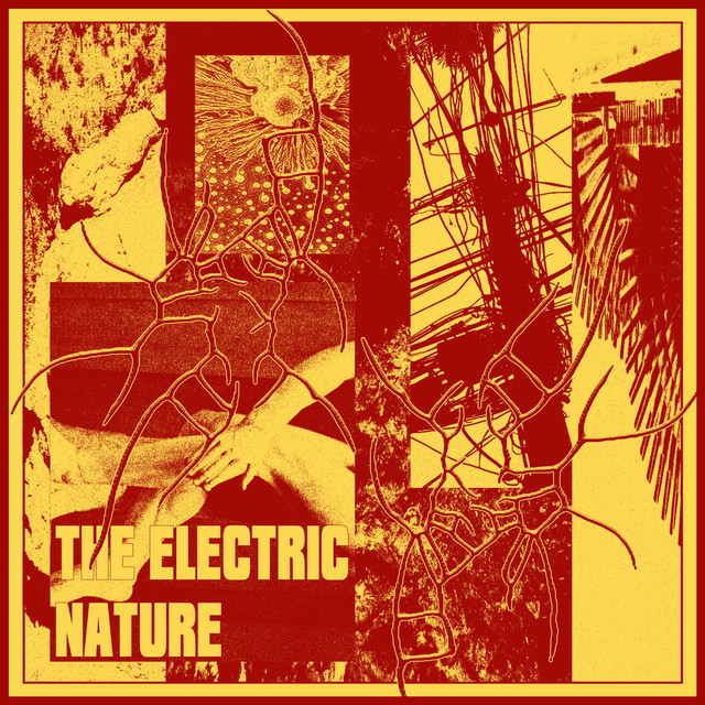 Plastic Mind cover art