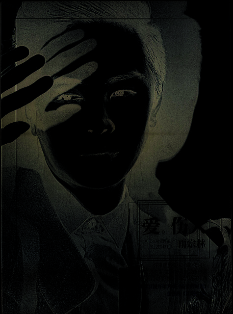 爱 伤人 cover art
