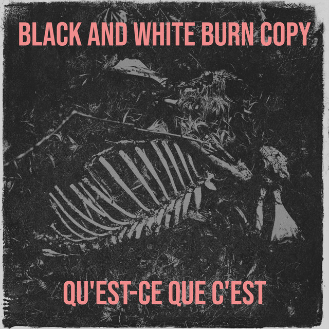 Black and White Burn Copy cover art