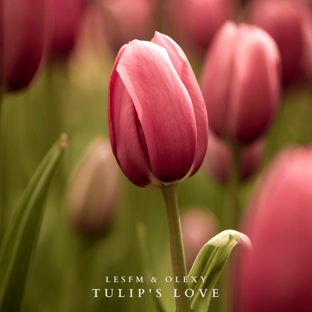 Обкладинка: Tulip's Love — Lesfm