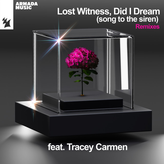 Did I Dream (Song To The Siren) [Remixes] cover art