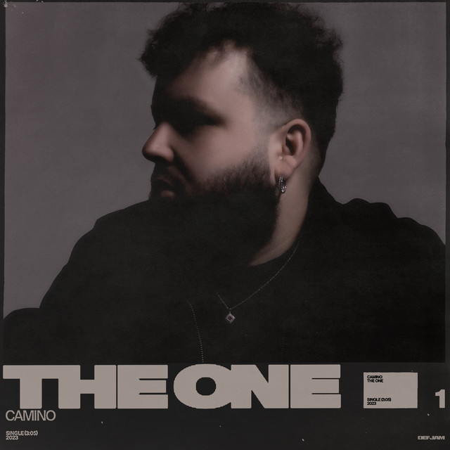 The One cover art