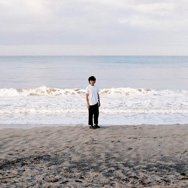 undefined album image