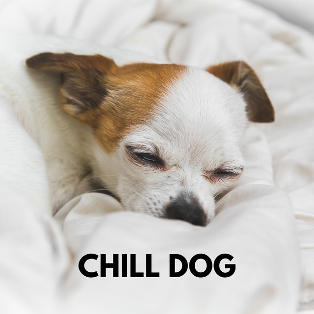 Chill Dog - Single by Relaxing Music for Dogs | Spotify