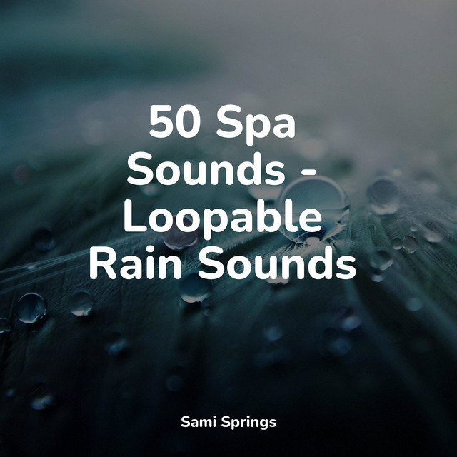 50 Spa Sounds - Loopable Rain Sounds - Album by Loopable Sounds for ...