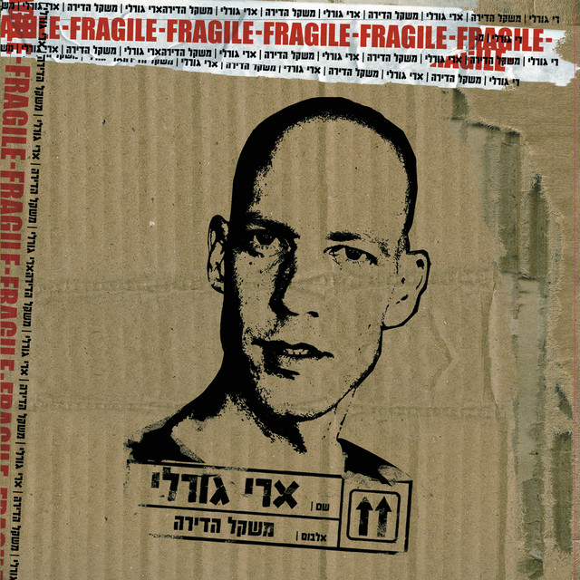 משקל הדירה cover art