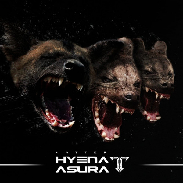 Hyena artwork