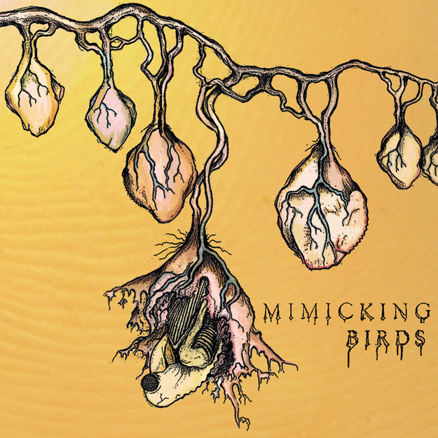 Mimicking Birds cover art
