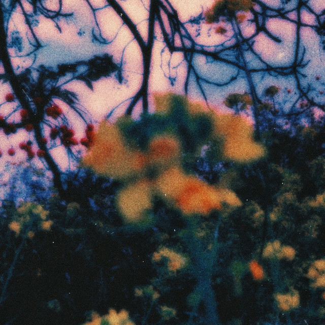 Rest (Remix) artwork