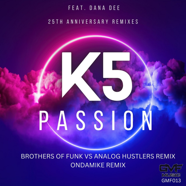 Passion - Brothers Of Funk VS Analog Hustlers Remix album art