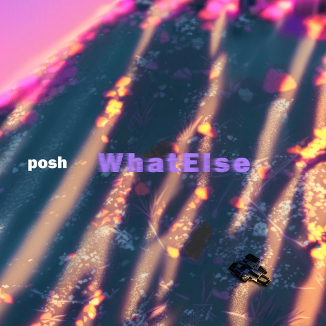 Whatelse cover