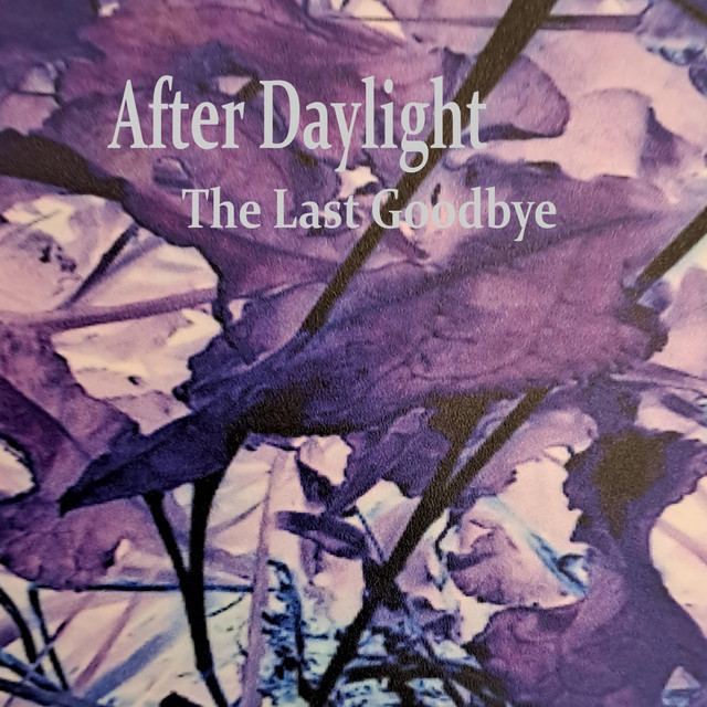 The Last Goodbye (single)