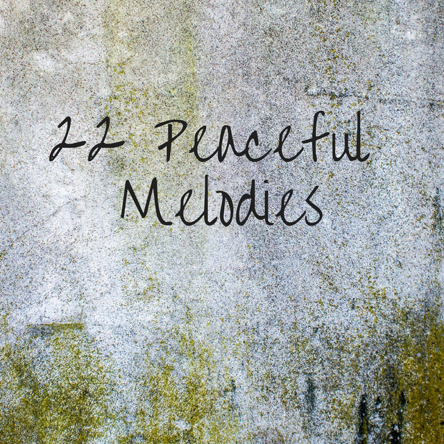 22 Peaceful Melodies - Album by Meditation Music Zone | Spotify