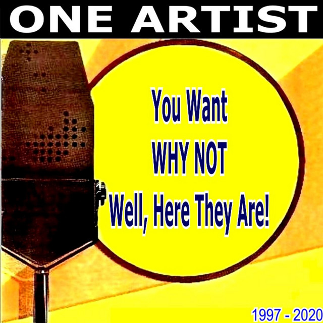 You Want WHY NOT Well, Here They Are! cover