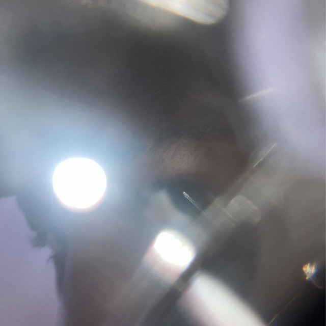cantu of the sower album image