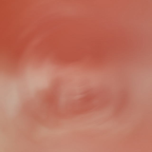 Pareidolia I cover art