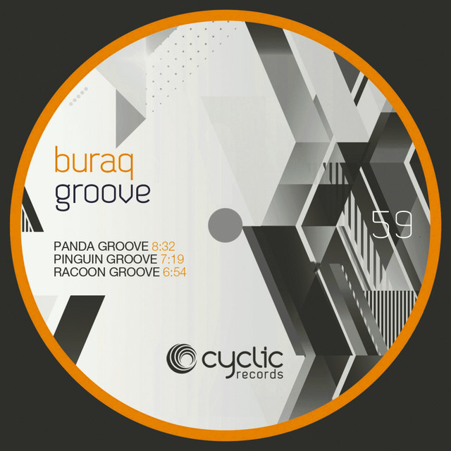 Racoon Groove album art