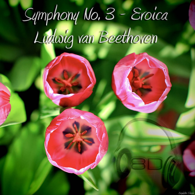 Symphony No. 3 in E flat major, Op. 55, "Eroica" - Ludwig van Beethoven (8D Binaural Remastered - Music Therapy) cover art