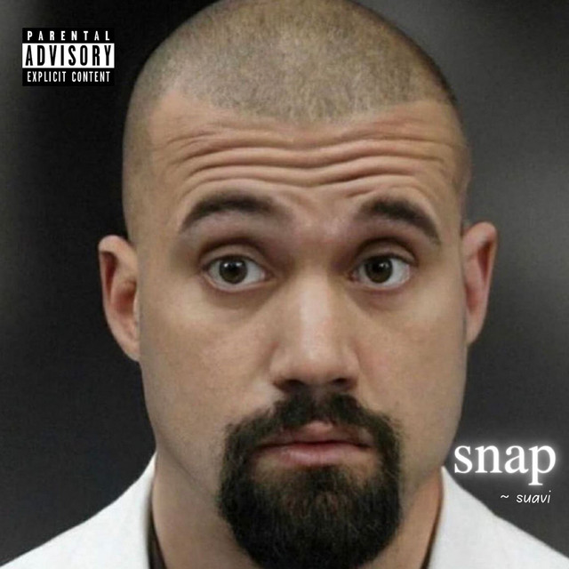 Snap cover art