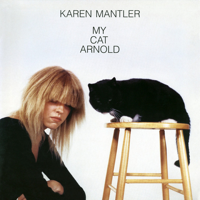 My Cat Arnold cover art