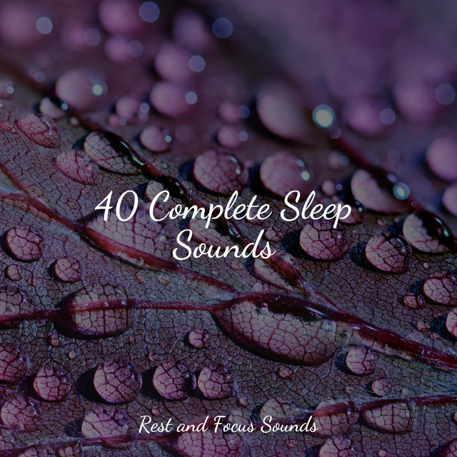 40 Complete Sleep Sounds - Album by Deep Sleep Music Delta Binaural 432 ...