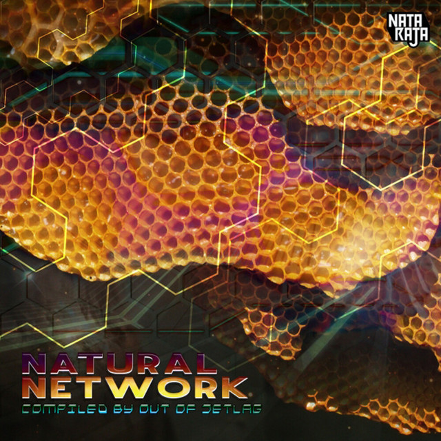 Natural Network cover