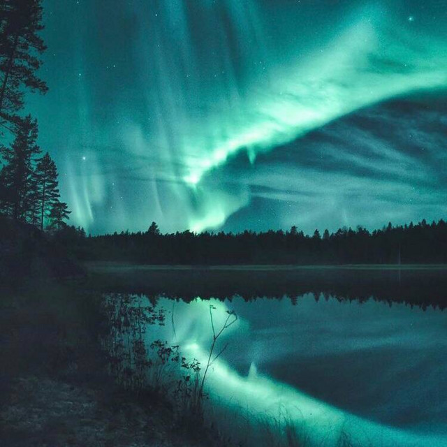 Cover art: Aurora — ASHXRZXN