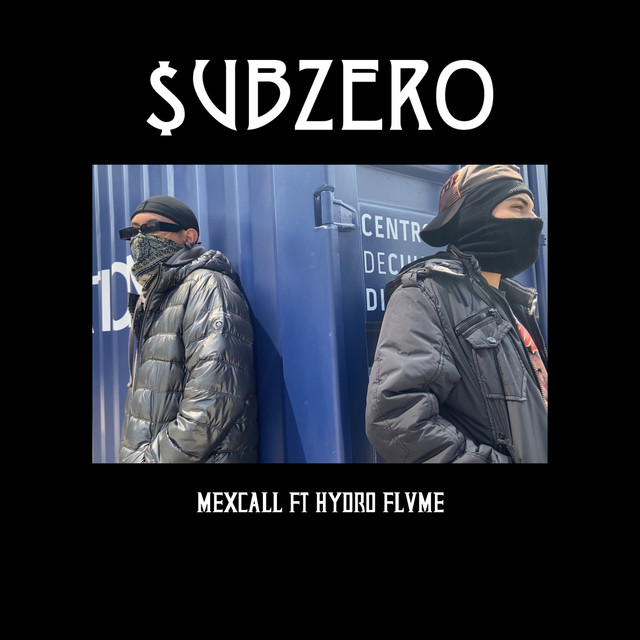 Subzero cover art