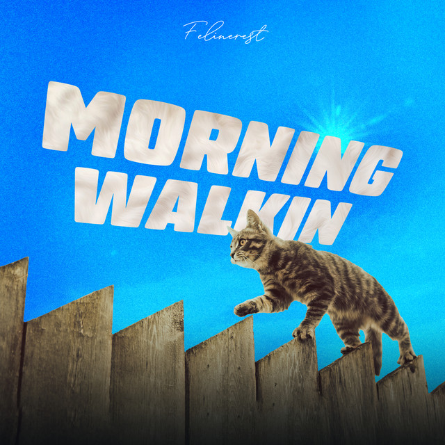 Morning Walkin cover art