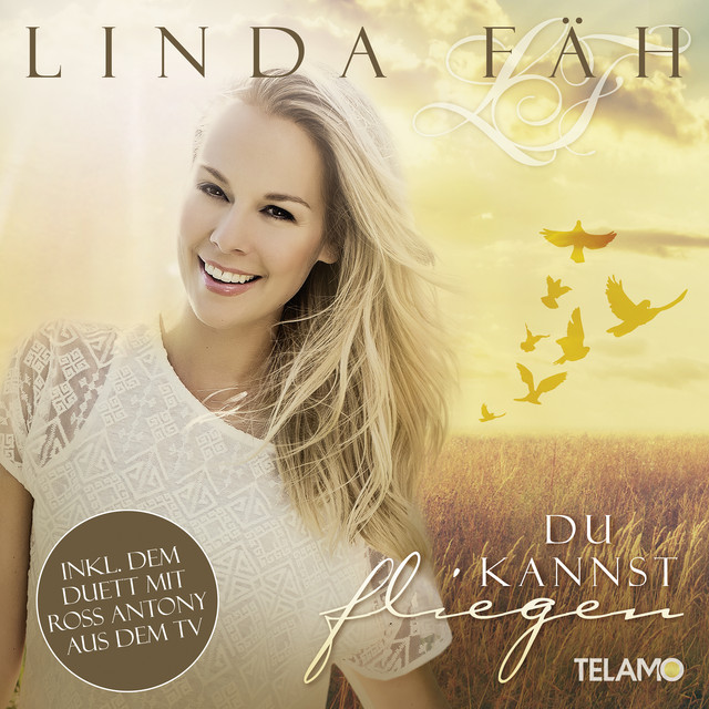 Du kannst fliegen cover