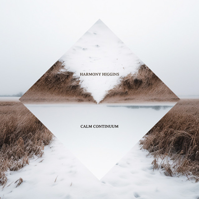 Calm Continuum cover art