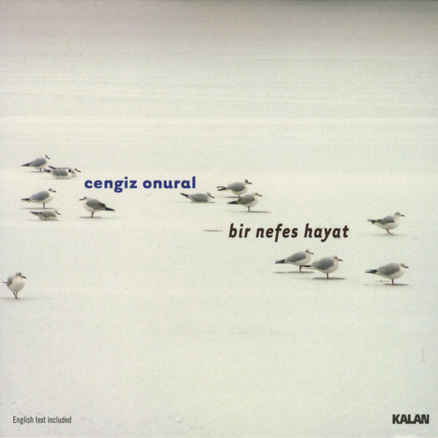 Cengiz Onural photo