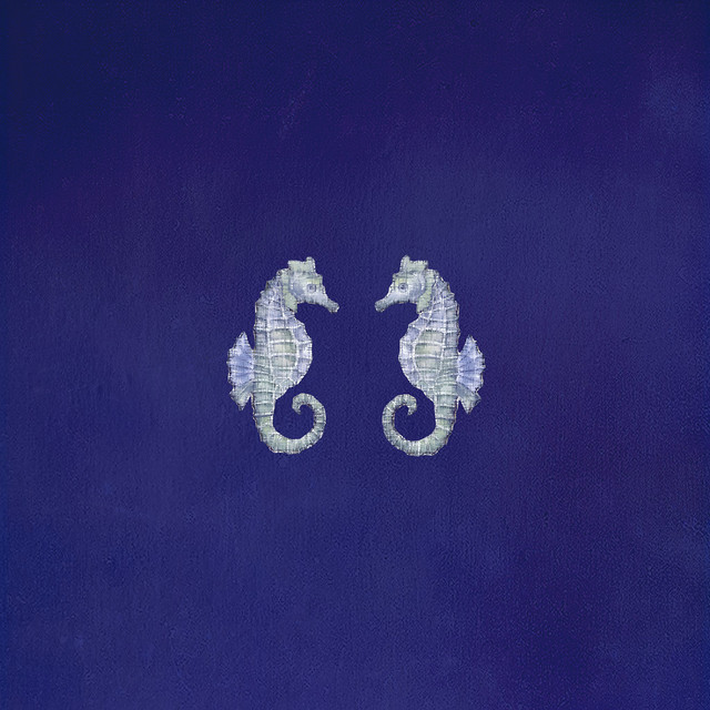 Seahorse