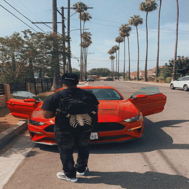 Palm Angel Trees