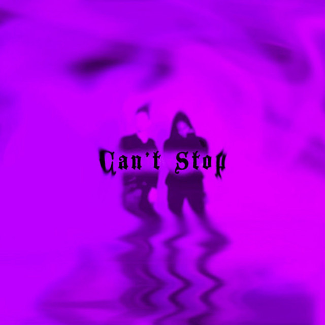 can't stop cover art