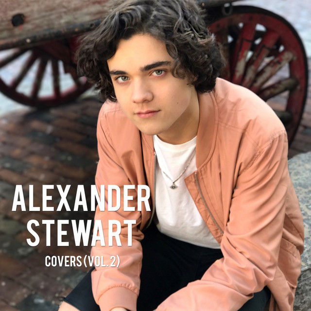 Covers, Vol. 2 cover art