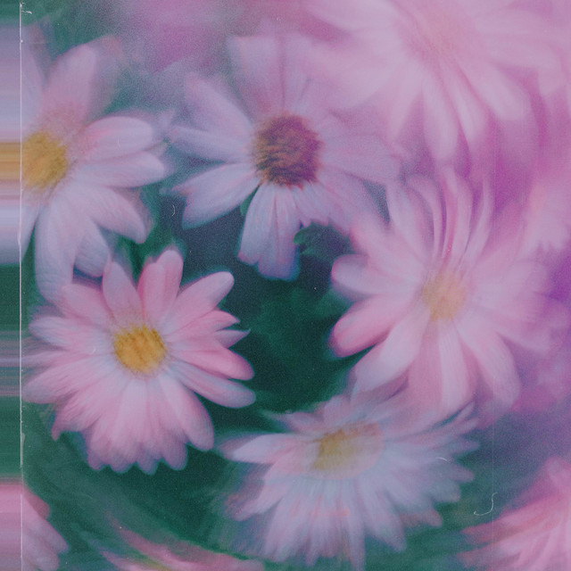 Endless Reflections cover art