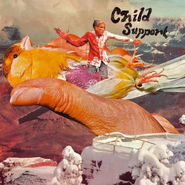 Child Support