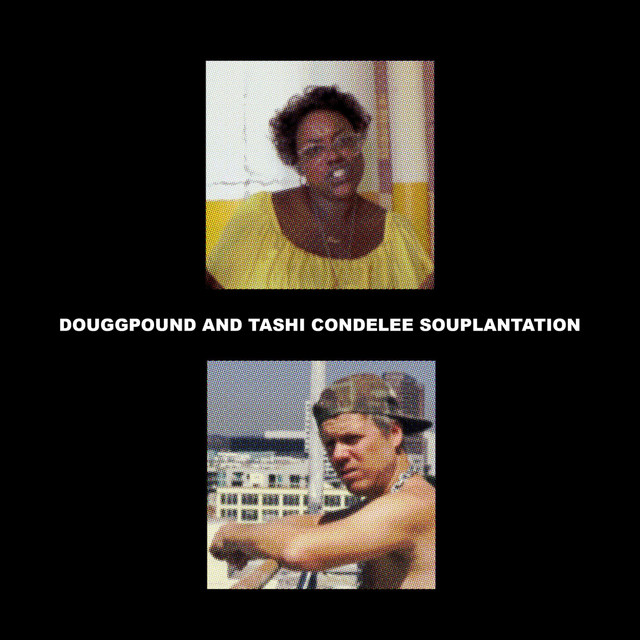 Tashi Condelee