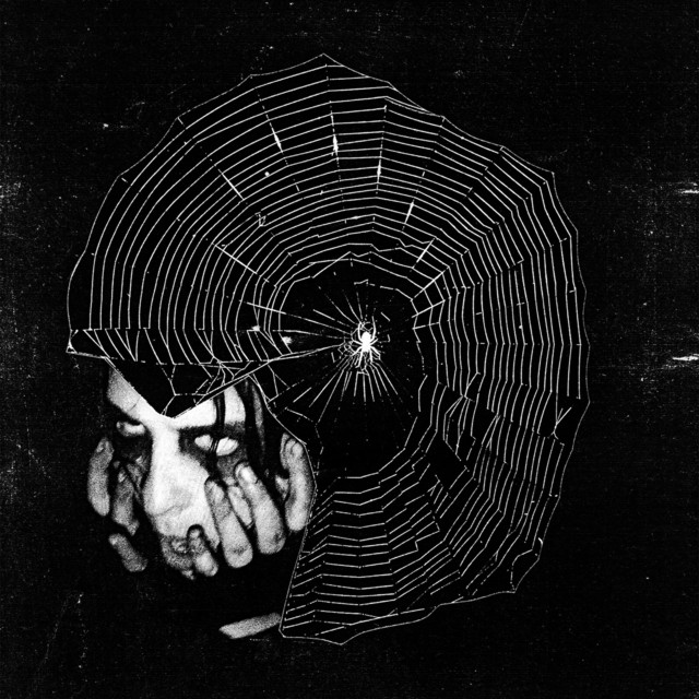 Jesse Draxler Photo
