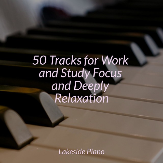 50 Tracks for Work and Study Focus and Deeply Relaxation - Album by SD ...
